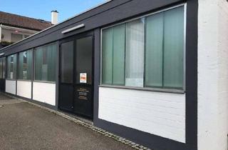 Gewerbeimmobilie mieten in Hauptstraße 63, 74248 Ellhofen, Lagerhalle zu vermieten