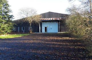 Gewerbeimmobilie kaufen in 26931 Elsfleth, 2.670 m² Kaltlagerhalle mit 100 m² Bürotrakt in Elsfleth-Moordorf