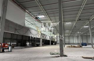 Gewerbeimmobilie mieten in 74906 Bad Rappenau, Neubauprojekt-Produktions-/Lagerhalle**provisionsfreie Vermietung**