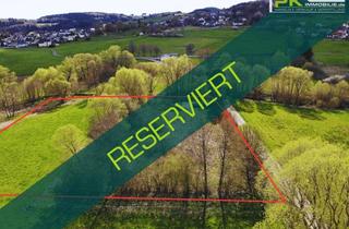 Grundstück zu kaufen in (Nähe Sportplatz), 54550 Daun, 6.040 m² Grundstück mit Teich, Grillplatz & Gartenhaus in 54550 Neunkirchen