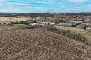 Grundstück zu kaufen in 38877 Benneckenstein, 6,2 ha Forstliegenschaft - weitgehend gerodet