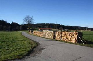 Grundstück zu kaufen in 87662 Kaltental, **Zurück zur Natur – Ihre Chance!**Grundstück am Bach in idyllischer Lage nähe Kaufbeuren**