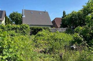 Grundstück zu kaufen in 13059 Wartenberg, Grundstück für Einfamilienhaus in Wartenberg