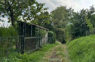 Grundstück zu kaufen in 73614 Schorndorf, Freizeitgundstück in ruhiger Lage mit herrlicher Aussicht