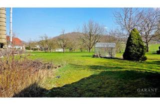 Grundstück zu kaufen in 73107 Eschenbach, ** Großes Baugrundstück mit Bauernhaus **