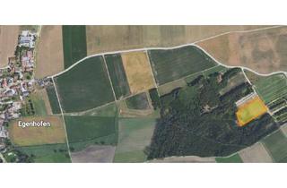 Grundstück zu kaufen in Krautgartenholz, 82281 Egenhofen, 8.491 m² Landwirtschafts- oder Ausgleichsfl. im Lkr. Fürstenfeldbruck - VERKAUF IM BIETERVERFAHREN