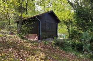 Grundstück zu kaufen in 71394 Kernen, Schönes Freizeitgrundstück mit Gartenhaus und angelegrte Terrasse