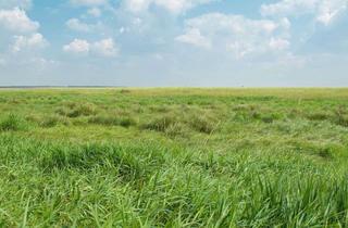 Immobilie kaufen in 17291 Nordwestuckermark, Ackerflächen Brandenburg, ca. 70 ha