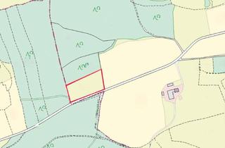 Gewerbeimmobilie kaufen in 83530 Schnaitsee, Ideale Landwirtschaftliche Nutzfläche bei Waldhausen - Rabeneck