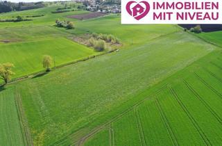 Gewerbeimmobilie kaufen in 89356 Haldenwang, 2,6 ha Ackerland im Landkreis Günzburg! 1a Lage, 1a Erträge, 1a Investment!