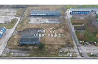 Gewerbeimmobilie kaufen in 17153 Stavenhagen, Zwei Lagerhallen mit PV-Einspeisezusage, großes Grundstück