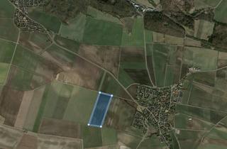 Grundstück zu kaufen in 38319 Remlingen, 12,7 ha arrodiertes Ackerland in Remlingen LK Wolfenbüttel