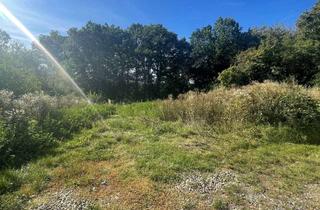 Grundstück zu kaufen in 65207 Medenbach, Gewerbegrundstück in Wiesbaden