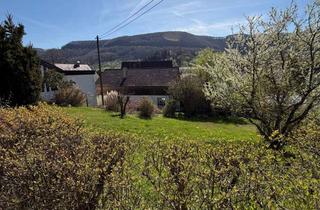 Grundstück zu kaufen in 73252 Lenningen, Sehr schöner, ruhig gelegener Bauplatz in Unterlenningen