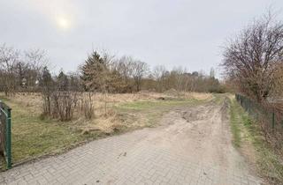 Grundstück zu kaufen in 15890 Eisenhüttenstadt, Großzügiges Grundstück in ruhiger Innenstadtlage
