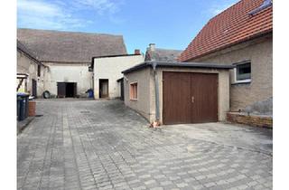 Einfamilienhaus kaufen in 04931 Mühlberg, Viel Platz zum fairen Preis