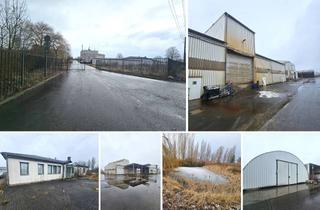 Gewerbeimmobilie kaufen in 04509 Wiedemar, Industrie- und Gewerbeareal mit vielen Bestandsgebäuden