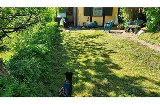 Haus kaufen in 07646 Stadtroda, Stadtroda - Privates Gartengrundstück in Thüringen ,Stadtroda 07646