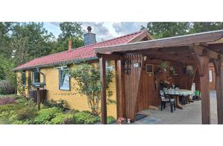 Haus kaufen in 29369 Ummern, Ummern - Hübsches kleines Holzhaus in Ummern