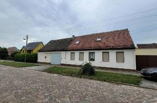 Einfamilienhaus kaufen in 06925 Annaburg, Annaburg - Einfamilienhaus mit viel Platz für Handwerk Tiere und Natur