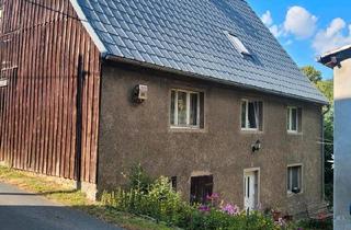 Haus kaufen in 09638 Lichtenberg, Lichtenberg/Erzgebirge - Haus mit großem Grundstück und Nebengelass