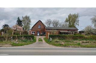 Haus kaufen in 25358 Horst, Horst (Holstein) - Reetdachhaus