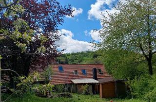 Einfamilienhaus kaufen in 35327 Ulrichstein, Ulrichstein - Haus mit Garten in Ulrichstein (Ortsteil) - mit viel Potenzial