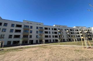 Wohnung mieten in Am Falkenberg 11A, 12524 Altglienicke, Den Frühling auf der Dachterrasse genießen! Erstbezug am S-Bahnhof Grünau