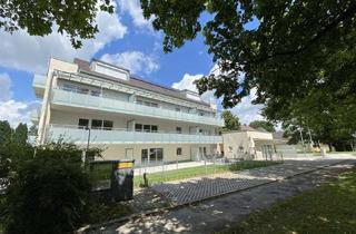 Wohnung mieten in 83395 Freilassing, Zentrale 3 Zimmerwohnung in Freilassing