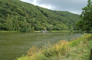 Wohnung mieten in 56818 Klotten, "ATTRAKTIVE ETAGENWOHNUNG IN ZENTRALER ORTSLAGE - NÄHE COCHEM"