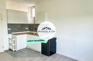 Wohnung mieten in 64678 Lindenfels, Gemütliche 1-Zimmer-Wohnung | Moderne Küche | Schmidt & Co. Immobilien