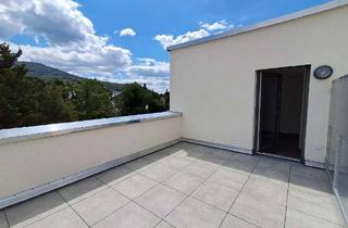 Penthouse mieten in 64665 Alsbach-Hähnlein, Apartment-Traum an der Bergstraße: 1-Zimmer Penthouse mit Dachterrasse