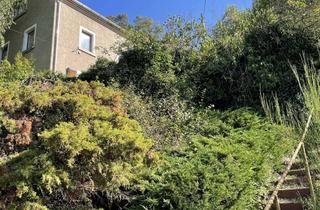 Haus kaufen in 09603 Großschirma, Zwei Häuser zum Preis von einem - ländliches Wohnen auf großem Grundstück