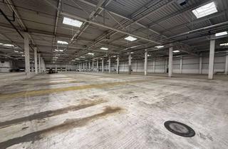 Büro zu mieten in 66914 Waldmohr, Großzügige Hallenflächen mit ca. 15.000 m², Rampen und Büroflächen in bester Lage