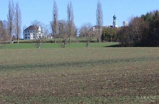 Grundstück zu kaufen in 83339 Chieming, Ein Juwel an Grundstück nur 150 Meter vom Chiemsee entfernt - im Bieterverfahren