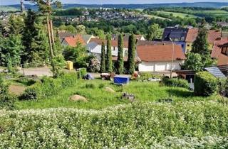 Grundstück zu kaufen in 66636 Tholey, Baugrundstück in Tholey