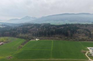 Grundstück zu kaufen in 83317 Teisendorf, Landwirtschaftliche Flächen in Teisendorf – Rupertiwinkel!