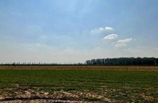 Grundstück zu kaufen in Ulmenweg 66, 52388 Nörvenich, Ein Platz für das Außergewöhnliche - Baugrundstück in Nörvenich