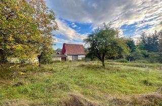 Grundstück zu kaufen in 96194 Walsdorf, Ideal für Ihr EFH im Grünen! Charmante 555 qm Grund - ruhig und gut angebunden im Bamberger Umland