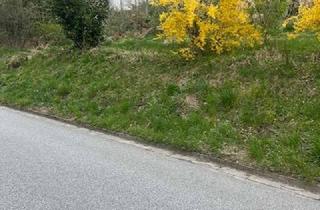 Grundstück zu kaufen in 94539 Grafling, Sonniges Grundstück mit Abrissobjekt – Ihr Neubauprojekt in Grafling bei Deggendorf