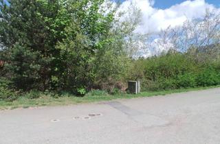 Grundstück zu kaufen in 67705 Trippstadt, Traumhaft ruhiges Grundstück direkt am Waldrand