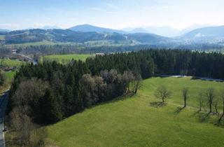 Gewerbeimmobilie kaufen in 83714 Miesbach, Waldgrundstück in Miesbach Wies - Griesser