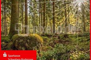 Gewerbeimmobilie kaufen in 86513 Ursberg, nachhaltige Investition - Waldbestand in Mindelzell