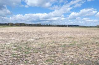 Gewerbeimmobilie kaufen in 85283 Wolnzach, Wolnzach OT, landwirtschaftliche Grundstücke arrondiert