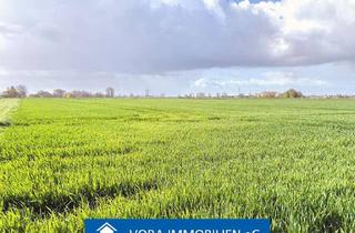 Gewerbeimmobilie kaufen in 52525 Heinsberg, Ackerland im Raum Heinsberg-Unterbruch zu verkaufen!