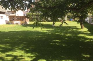 Haus mieten in 35516 Münzenberg, Inmitten von Grün ~~~ Freistehendes Einfamilienhaus mit großem Garten sucht ... ~~~