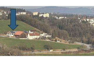 Gewerbeimmobilie mieten in Lüfteneck, 94034 Grubweg, Lichtdurchflutete Lager/Produktionshalle im Stadtgebiet Passau