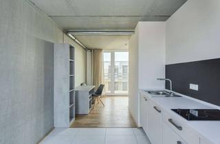 Immobilie mieten in Deulstraße 29, 12459 Oberschöneweide, Möbliertes Rooftop XL Apartment in Berlin - Schöneweide