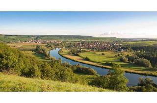 Immobilie kaufen in 97332 Volkach, Betriebsbereites Weingut mit Produktion und Rebland