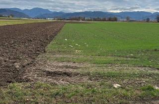 Gewerbeimmobilie kaufen in 79189 Bad Krozingen, Grundstück im künftigen Gewerbegebiet "Obermatten" in Tunsel